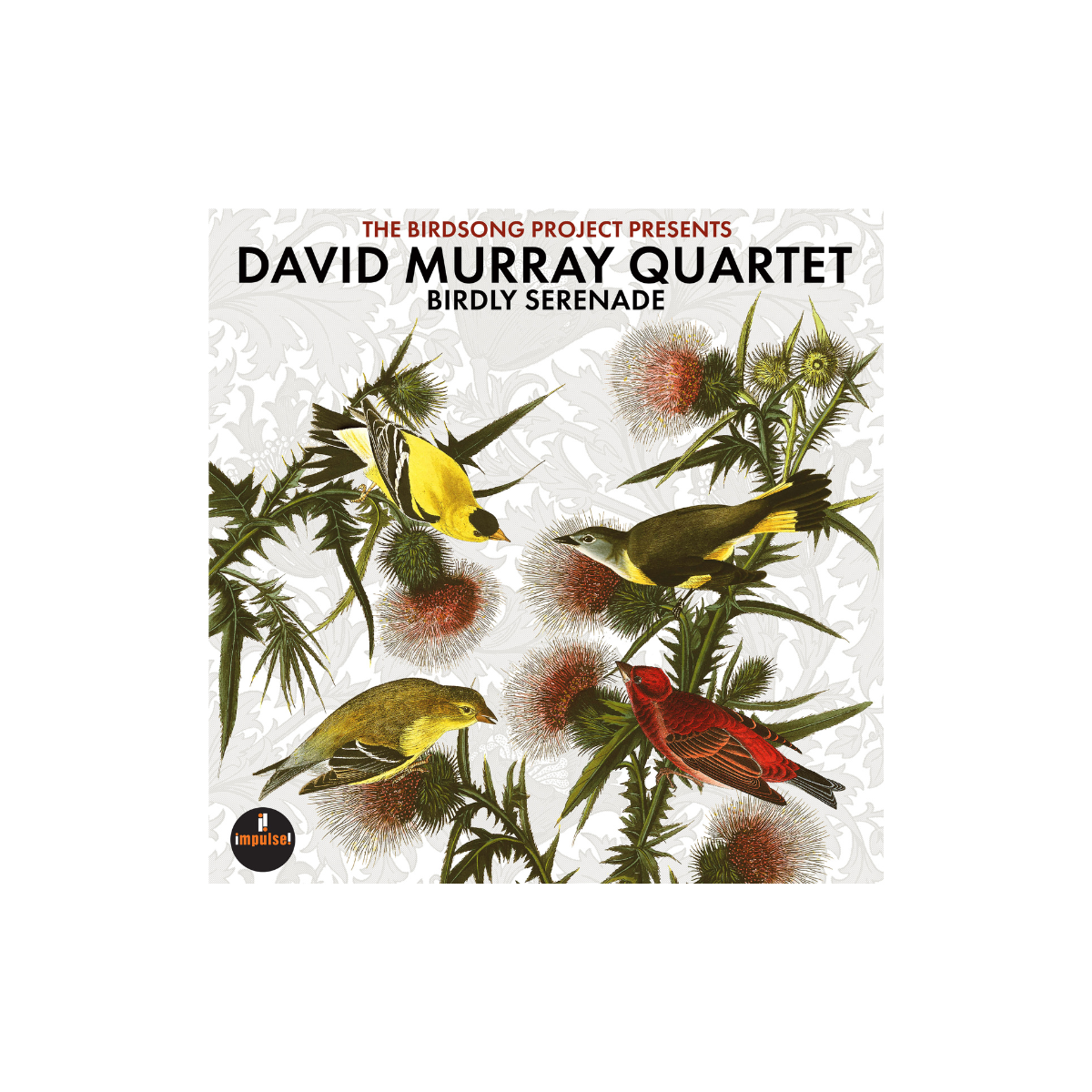 David Murray Quartet - Birdly Serenade - Vinyl